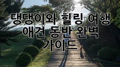 🐶🐾 댕댕이와 힐링 여행! 애견 동반 완벽 가이드 🗺️💖