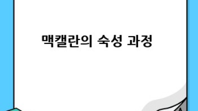 맥캘란 궁금증 해결! 🥃✨ 싱글 몰트 위스키 가이드