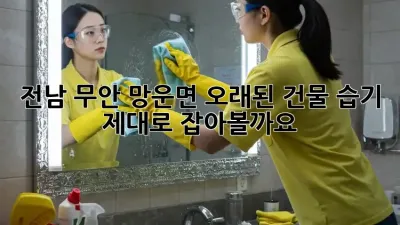 전남 무안 망운면 오래된 건물 습기, 제대로 잡아볼까요?