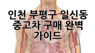 인천 부평구 일신동 중고차 구매 완벽 가이드